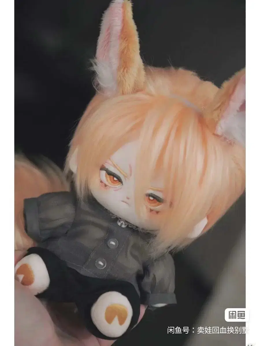 thumbnail-0